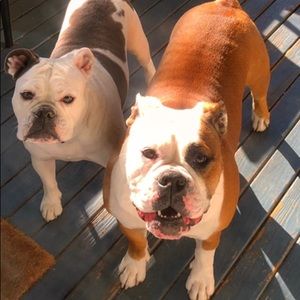 Meet your Posher, Mary ellen